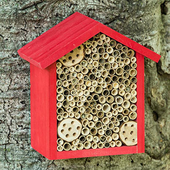 Bee Nesting House