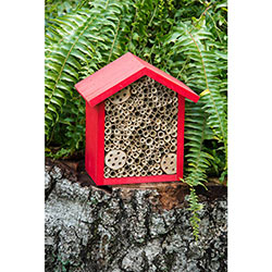 Bee Nesting House