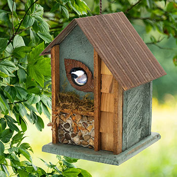 Country Cottage Birdhouse