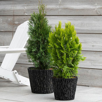 Lodge Look Planter Set/2