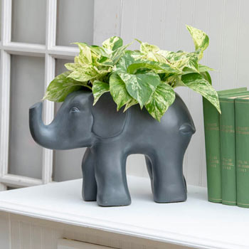 Good Fortune Elephant Planter