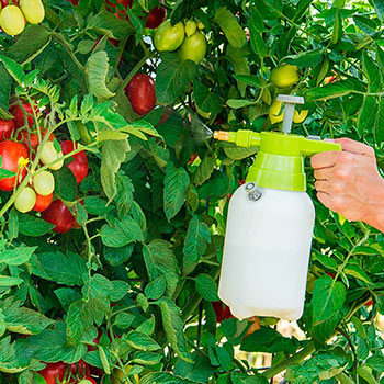 Handheld Sprayer