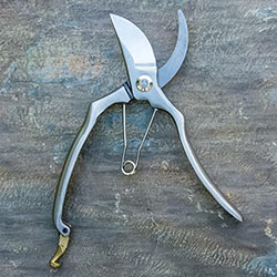 Essential Stainless Steel Pruners