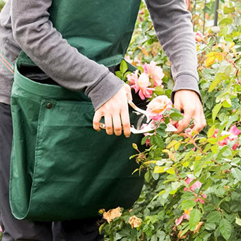 Gathering Apron