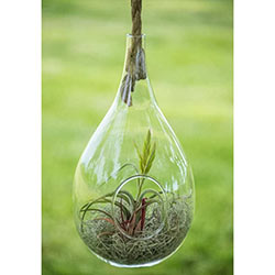 Elliptical Hanging Planter