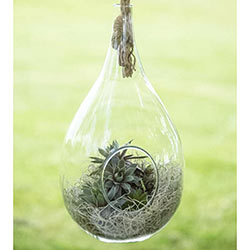 Elliptical Hanging Planter